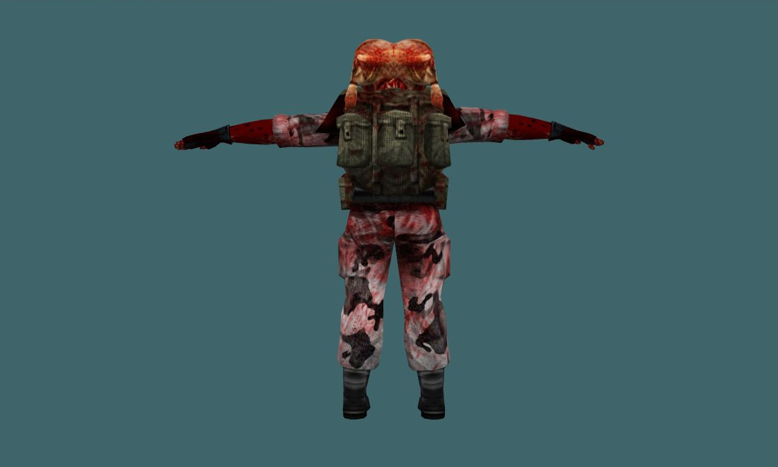 HL Grunt Team (HD) — grunt_headcrab — Human Model — photo 2