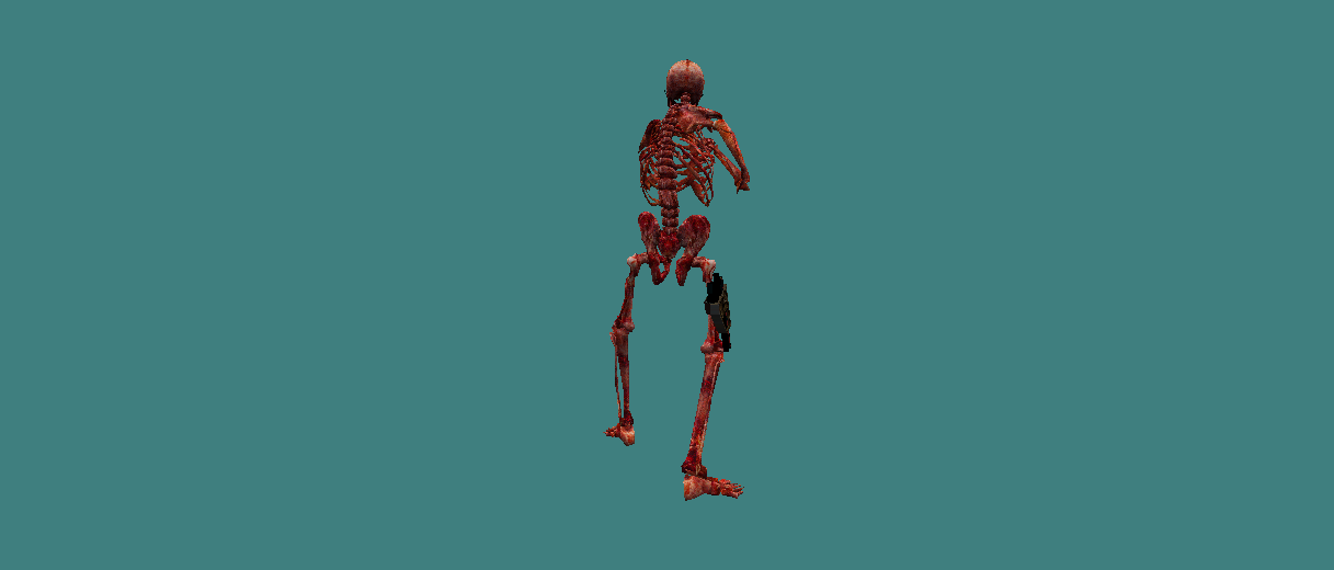 Crimson Skeleton - rear viewer preview