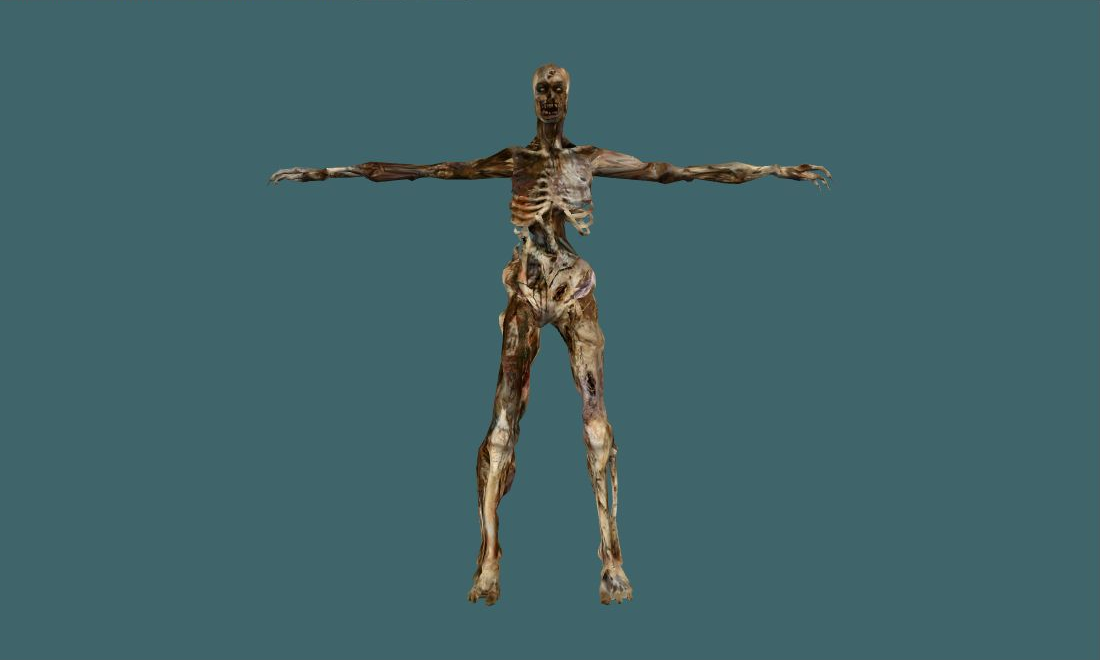 mummy — Zombie — photo 1
