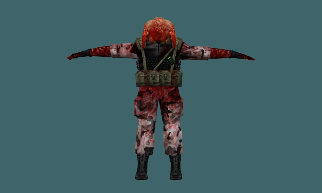 HL Grunt Team (HD) — grunt_headcrab — Human Model — photo 1