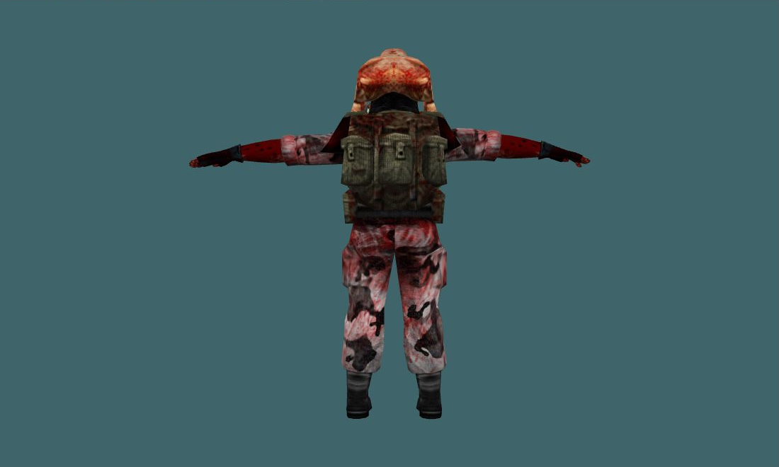 HL Grunt Team (HD) — grunt_headcrab2 — Human Model — photo 2