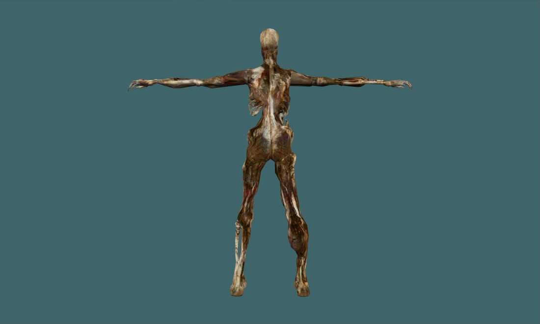 mummy — Zombie — photo 2
